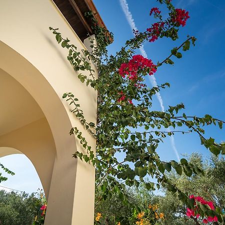 Olga Studios Vasilikos Exterior foto